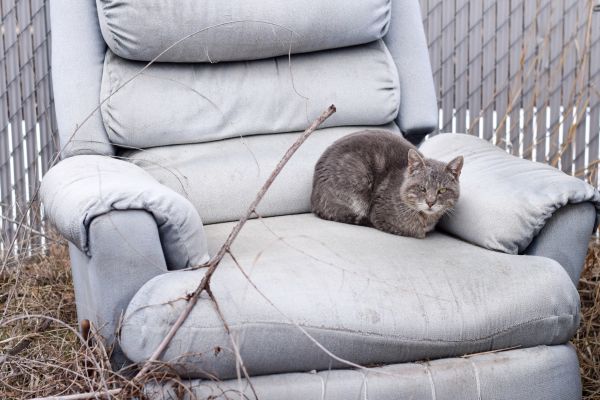 Recliner Disposal in Benton